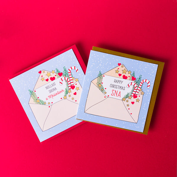 Sna and Mhúinteoir two card bundle