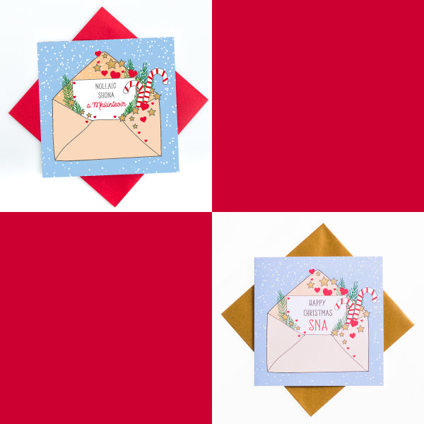 Sna and Mhúinteoir two card bundle