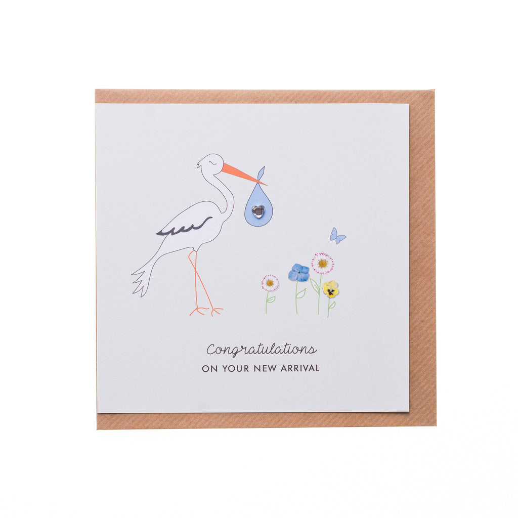 Stork Baby Boy Card