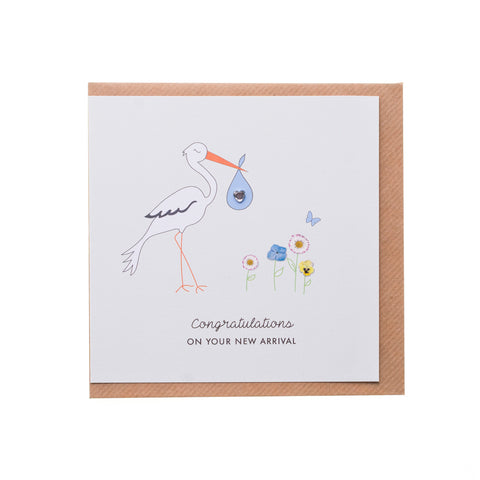 Stork Baby Boy Card
